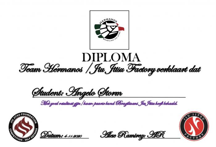 Purple belt · November 4, 2020 · Promoted by Alex Ramirez