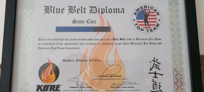 Blue belt · February 19, 2016 · Promoted by Luigi Mondelli