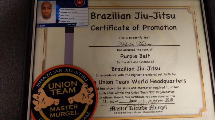 Purple belt · June 11, 2016 · Promoted by Ricardo Murgel
