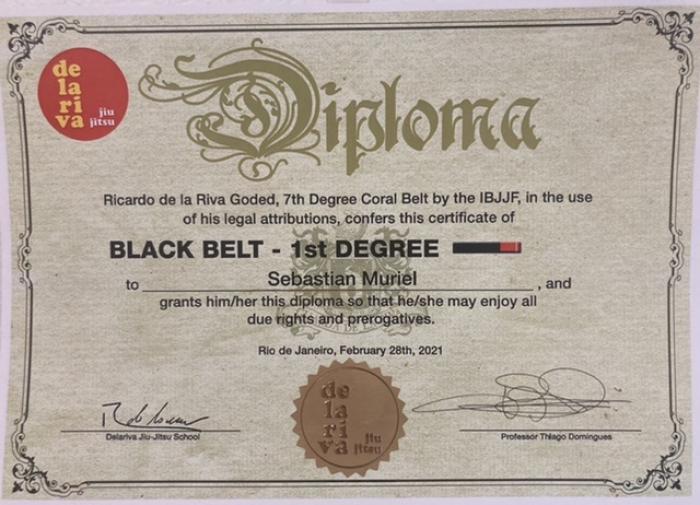 Black belt 1st degree · February 28, 2021 · Promoted by Thiago Domingues