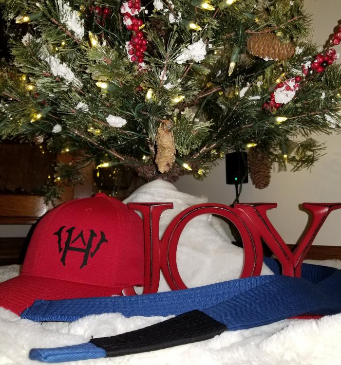 Blue belt · December 24, 2019 · Promoted by John Baize