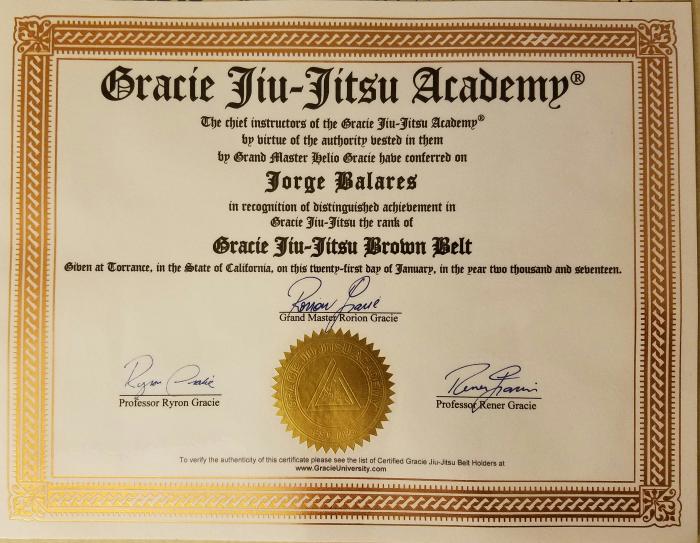 Brown belt · January 22, 2017 · Promoted by Ryron Gracie