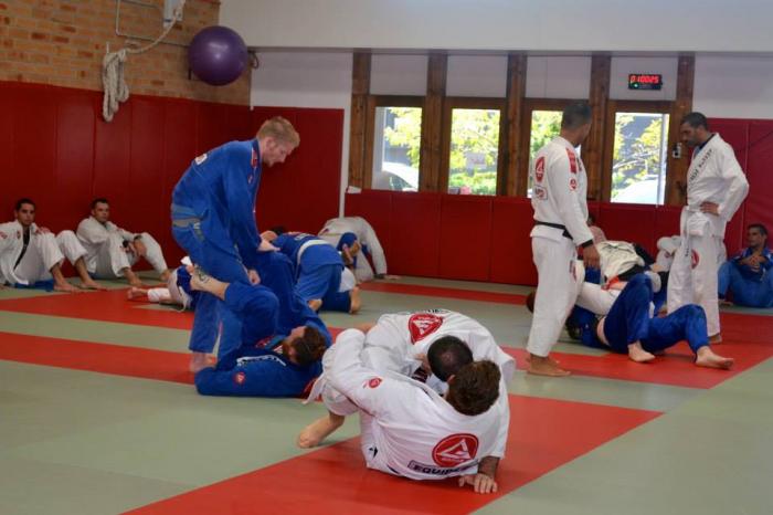 White belt · February 1, 2013