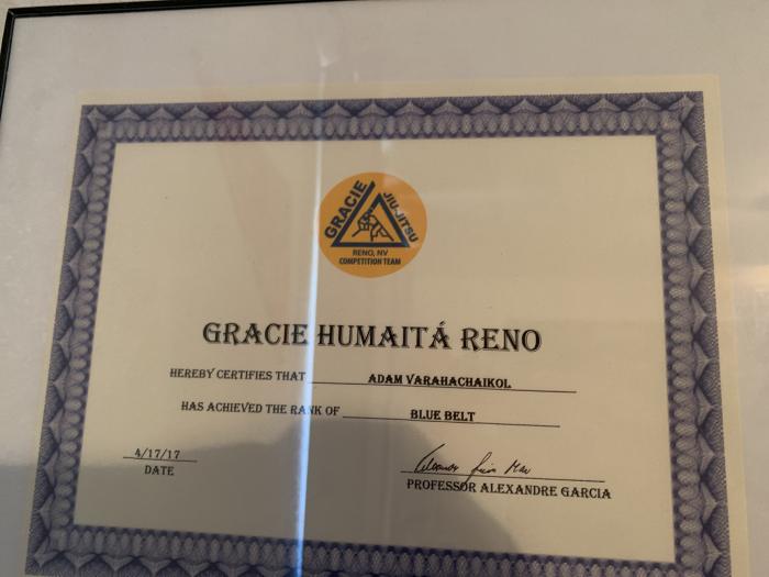 Blue belt · April 17, 2017 · Promoted by Alexandre Garcia