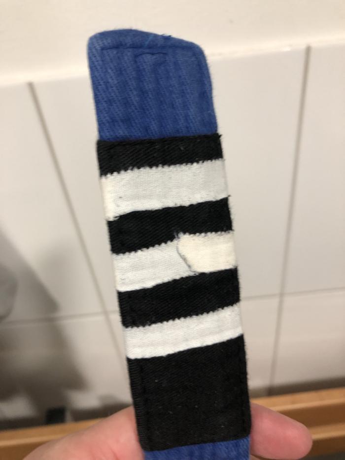 Blue belt · August 9, 2020 · Promoted by Milton Ferreira