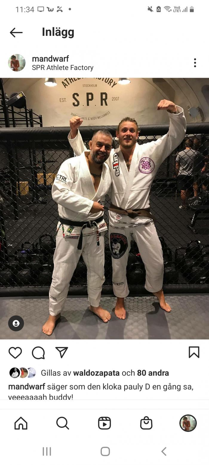 Brown belt · August 21, 2018 · Promoted by Waldo zapata