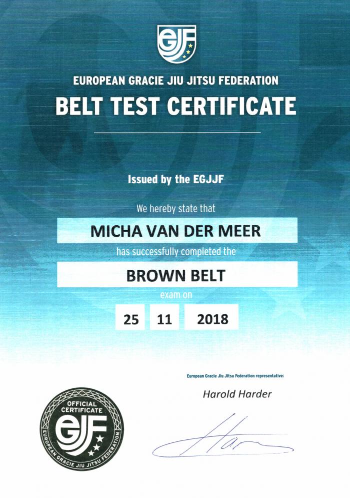 Brown belt · November 25, 2018 · Promoted by Harold Harder