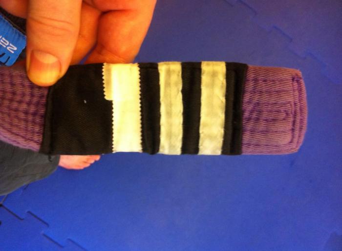 Purple belt · March 1, 2010 · Promoted by Rodney King