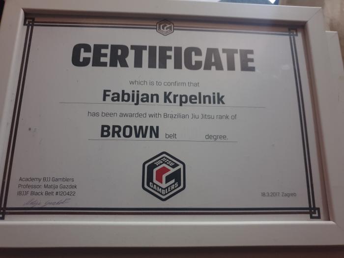 Brown belt · March 18, 2017 · Promoted by Matija Gazdek