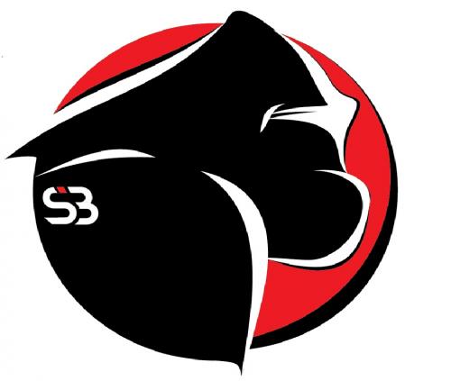 Silverback Academy