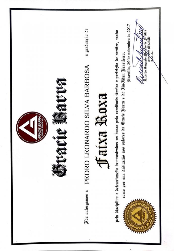 Purple belt · November 29, 2017 · Promoted by Ricardo Augusto Moreno de Freitas