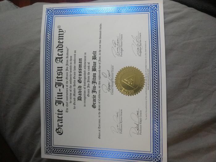 Blue belt · June 18, 2012 · Promoted by Alberto Robayo