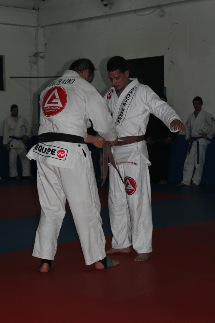 Brown belt · March 1, 2013 · Promoted by Alexander W. Machado