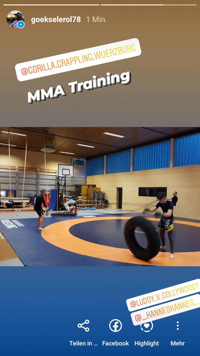 MMA Gorilla Grappling Würzburg