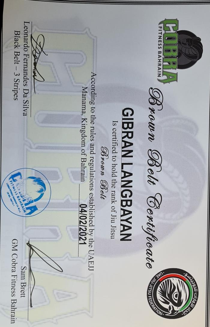 Brown belt · February 4, 2021 · Promoted by Prof. Leonardo Fernandes
