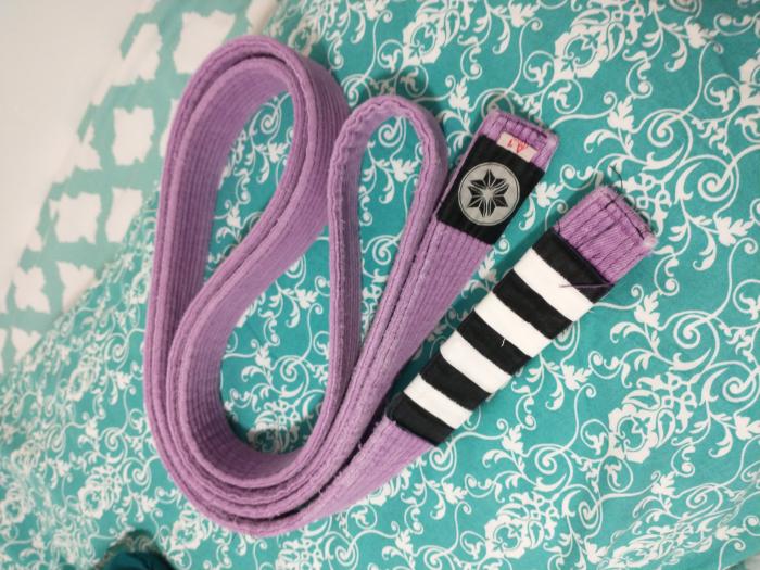 Purple belt · March 31, 2018 · Promoted by Jason Howard