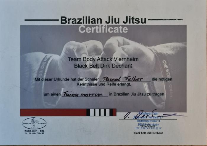 Brown belt · January 15, 2017 · Promoted by Dirk Dechant