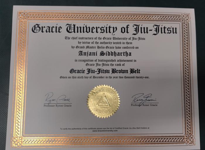 Brown belt certificate
