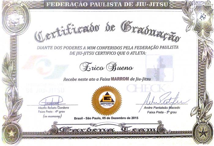 Brown belt · December 5, 2015 · Promoted by Andre Macedo
