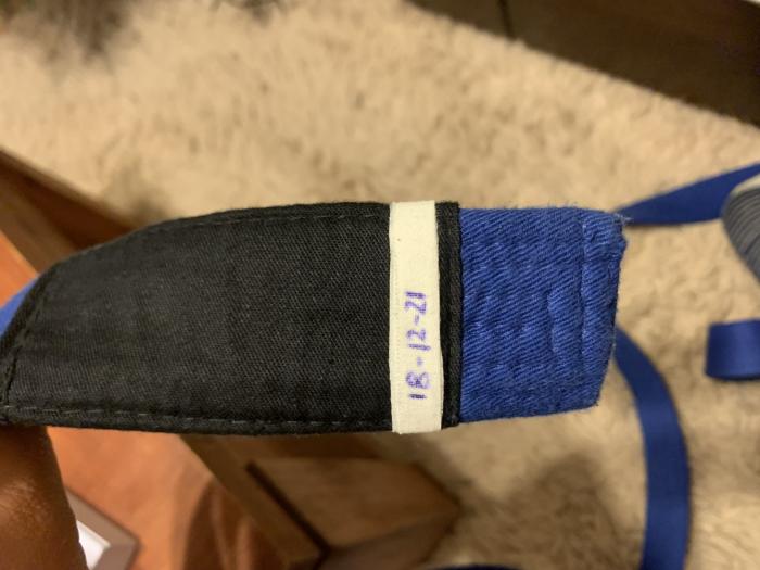 Blue belt · January 1, 2021 · Promoted by Regner Elgueta Rogel