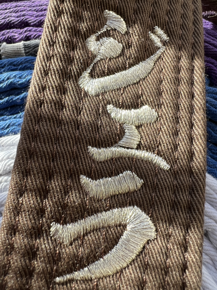 I dig those silver threads for the embroidery