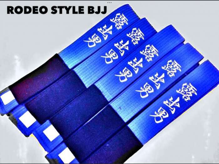 Blue belt · June 3, 2014 · Promoted by Yasutaka Kato