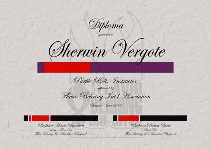 Purple belt · June 26, 2019 · Promoted by Mauro Birattari