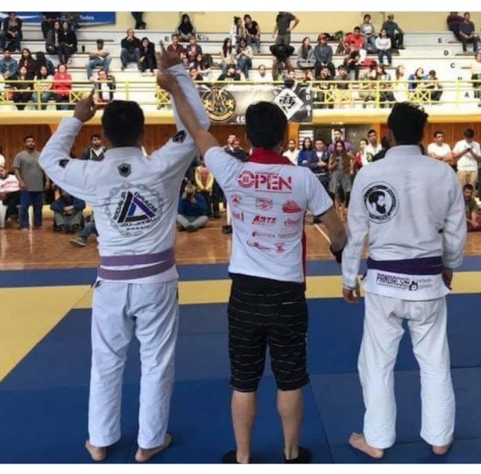 Purple Belt Comp