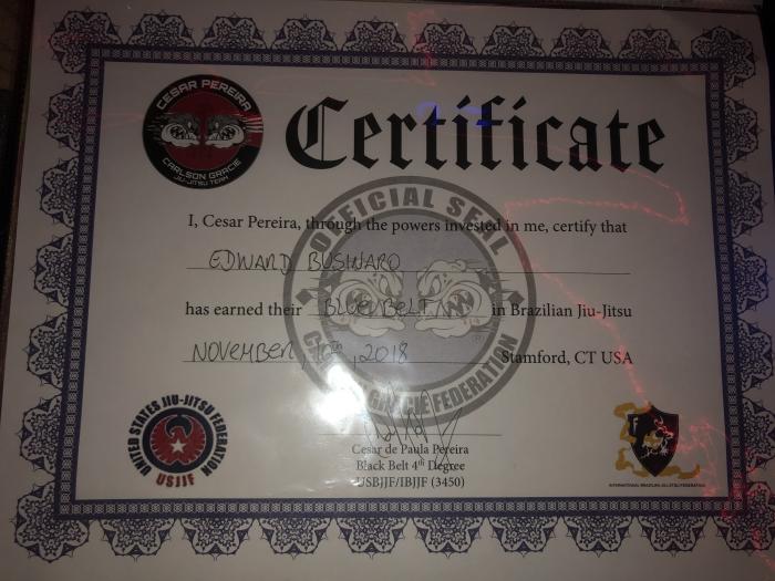 Blue belt · November 10, 2018 · Promoted by Cesar Pereira
