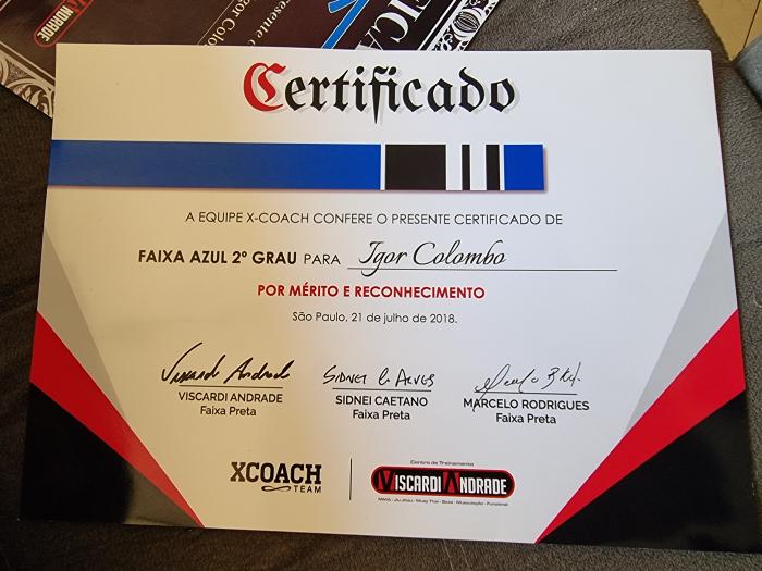 Blue belt · June 17, 2017 · Promoted by Viscardi Andrade