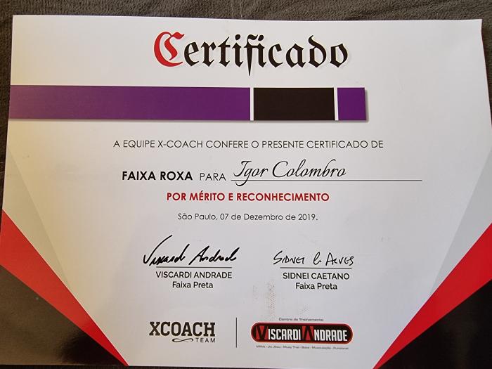 Purple belt · December 7, 2019 · Promoted by Viscardi Andrade