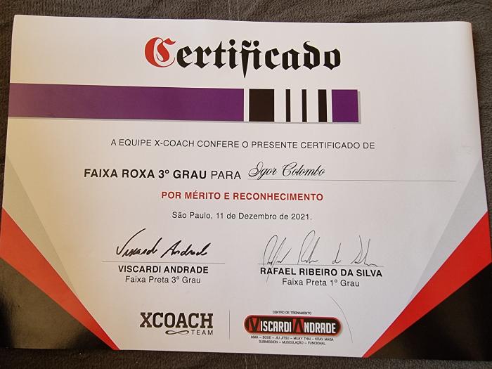 Purple belt · December 7, 2019 · Promoted by Viscardi Andrade