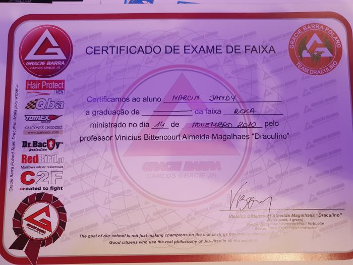 Purple belt · November 14, 2010 · Promoted by Vinicius Magalhaes
