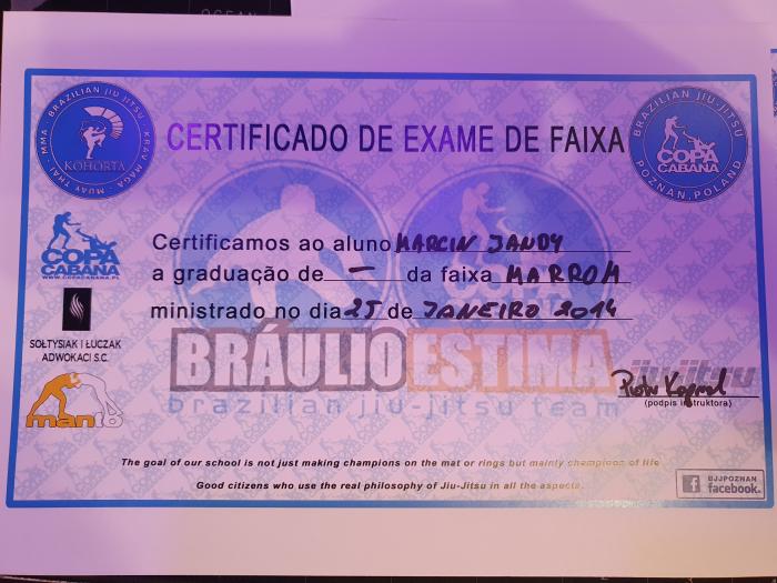 Brown belt · January 25, 2014 · Promoted by Piotr Kapral