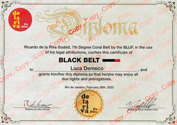 Black belt · February 26, 2022 · Promoted by Oscar Zevallos Ortiz