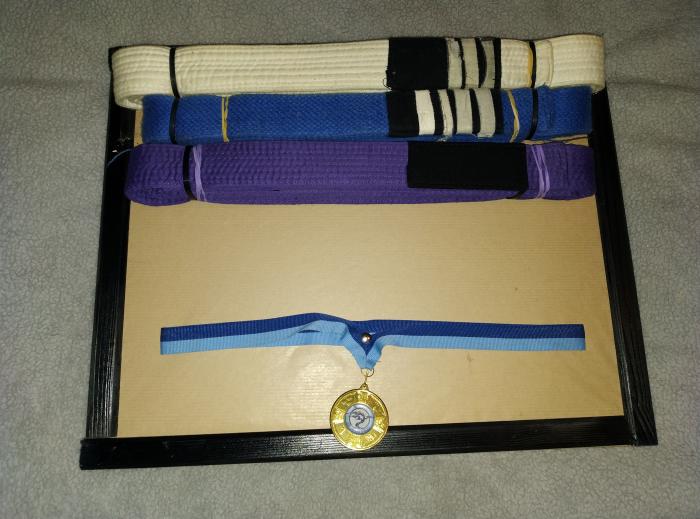 Blue belt · November 17, 2017 · Promoted by Dom zkora