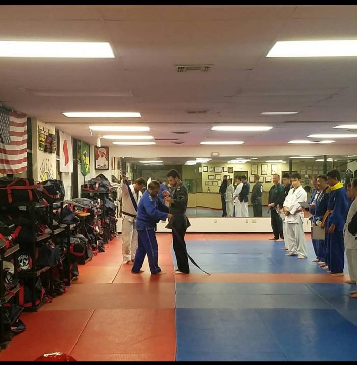 Purple belt · August 15, 2018 · Promoted by Sean Raki