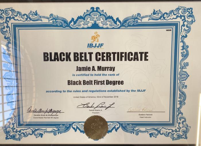 Black belt 1st degree · November 2, 2018 · Promoted by Gustavo Falciroli