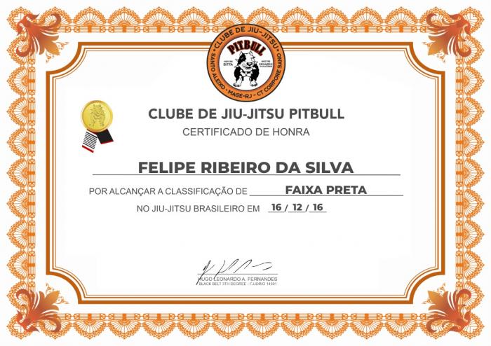 Black belt · December 16, 2016 · Promoted by Hugo Leonardo A Fernandes