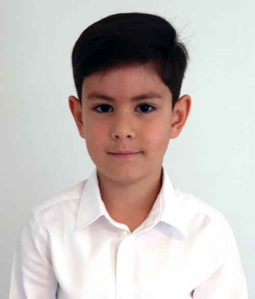 Altan Ermis