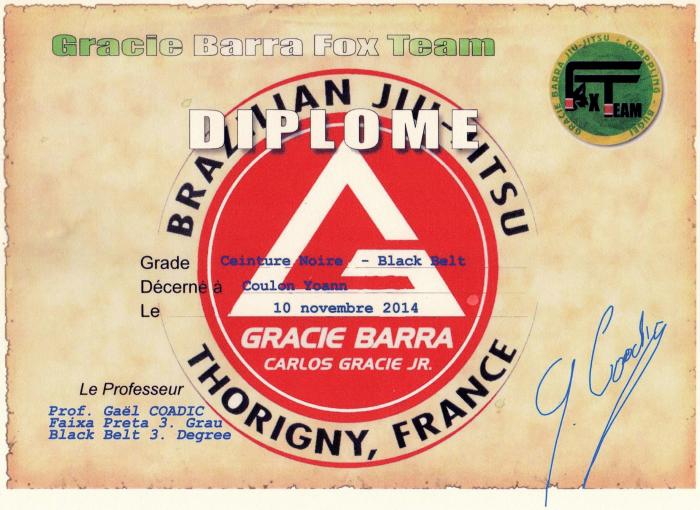 Black belt · November 10, 2014 · Promoted by Gaël Coadic