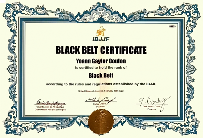 Black belt · November 10, 2014 · Promoted by Gaël Coadic
