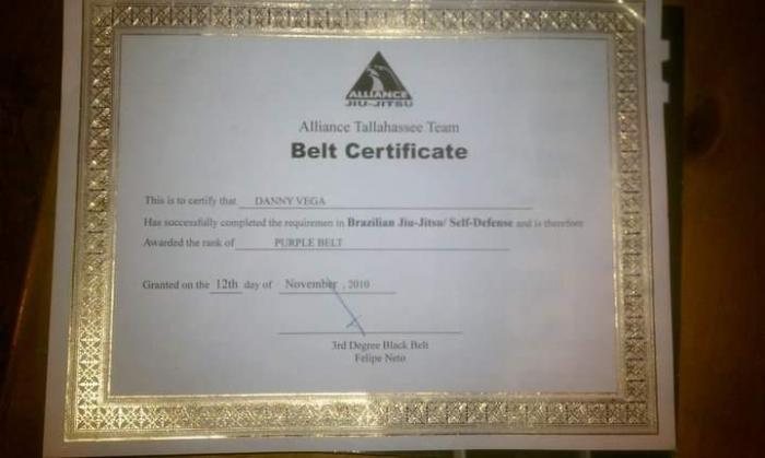 Purple belt · November 12, 2010 · Promoted by Felipe Neto