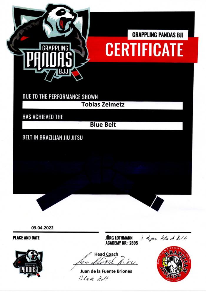 Blue belt · April 9, 2022 · Promoted by Juan De La Fuente Briones