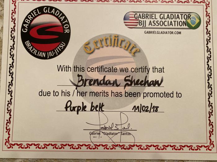 Purple belt · November 2, 2018 · Promoted by Gabriel Gladiator