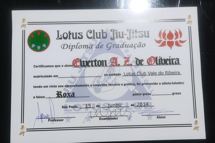 Purple belt · June 15, 2014 · Promoted by Aderson Mello