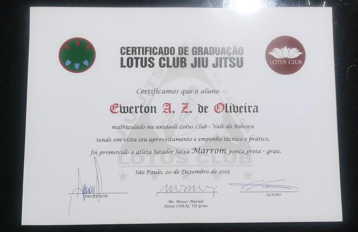 Brown belt · December 20, 2015 · Promoted by Aderson Mello