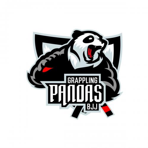 BJJ for Newbies