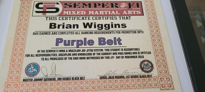 Purple belt · November 19, 2016 · Promoted by Julio Rosario