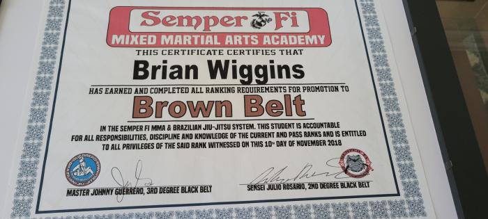 Brown belt · November 10, 2018 · Promoted by Julio Rosario